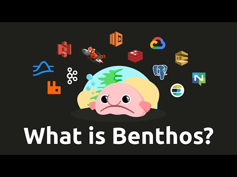 What is Benthos?