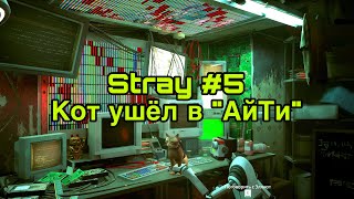Stray let's play #5  Ищу Батю