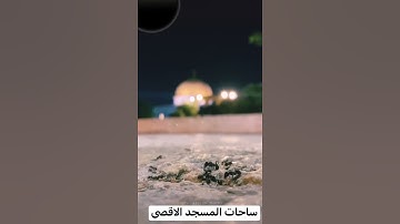 المسجد الاقصى سورة النمل