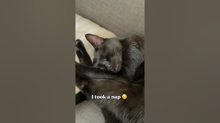 She took a loooooonnng nap👍 #cat #catvideos#viral#fyp#shorts#viralvideos#pets#animals#funny#cats