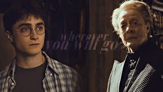 Harry &amp; Minerva || Wherever You Will Go
