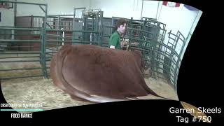 #750-Garren Skeels-Bluffton Club