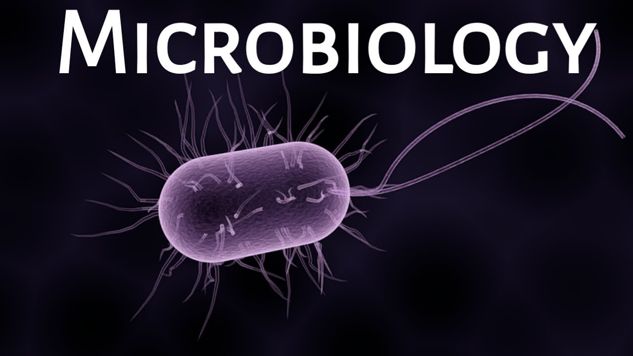 Microbiology multiple choice Questions with answer in Hindi and English
