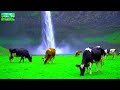 ЁЯМ ЁЯНАсИЭсИнсМе сЛисКнсИЛсИ сКлсИН сИ сЙесИ сЙе Best Ethiopian Eritrean Classical Music Collections Relaxing Piano Music Ethio ЁЯМ ЁЯНАсИЭсИнсМе сЛисКнсИЛсИ сКлсИН сИ сЙесИ сЙе Best Ethiopian Eritrean Classical Music Collections Relaxing Piano Music Ethio