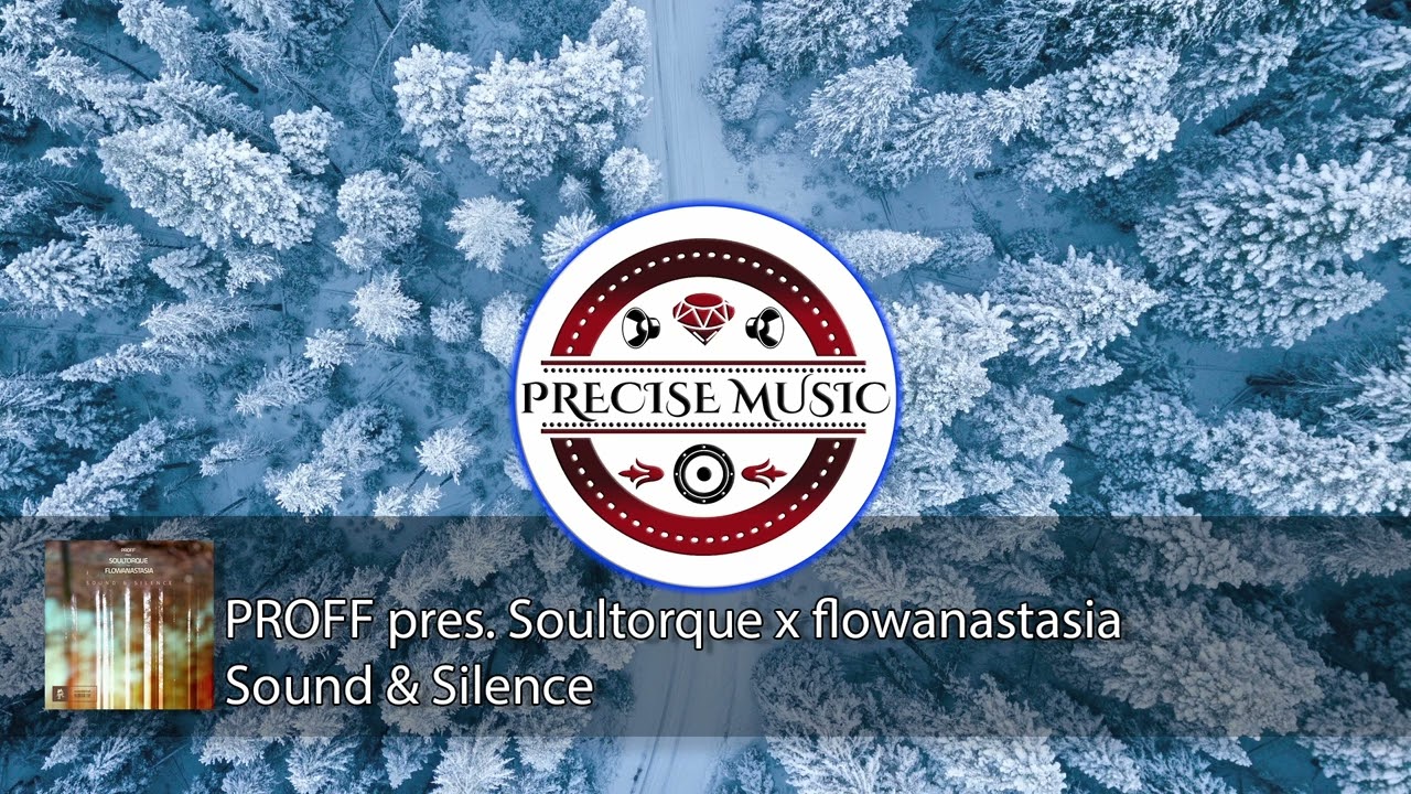PROFF pres. Soultorque x flowanastasia - Sound & Silence