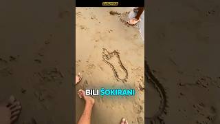 Vanzemaljski otisak pronađen!🤯#shorts #shortvideo #short #shortsfeed #viral