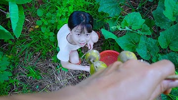 Buổi sáng yên bình, ở nhà uống trà và cùng các con hái cóc chua chấm muối