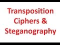 Unlocking Secrets: Transposition Ciphers & Steganography Explained 🔐