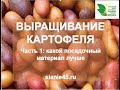 Как вырастить картофель "ведро с куста" #картофель