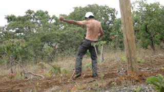 Ze Dançado E Capinando