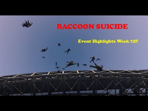 Highlights 20170819