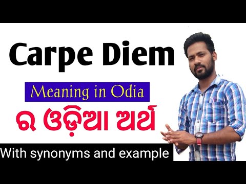 Meaning Of Carpe Diem !! Meaning Of Carpe Diem In Odia !! What Is The Meaning Of Carpe Diem !!