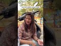 bohot danger hai mein😎 #reelsofinstagram #couple #couplegoal #relationshipgoals #toxic #comedy#funny