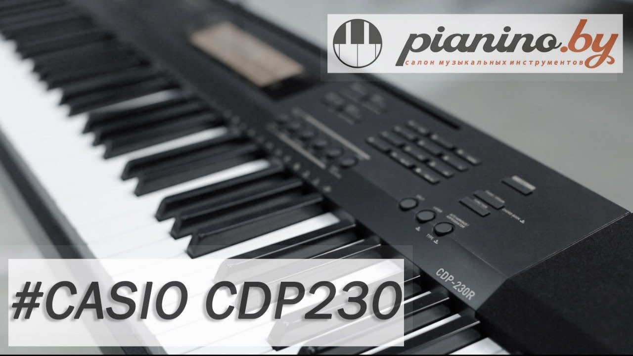 Image Result For Casio Pianino Image Result For Casio Pianino