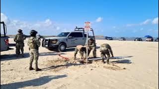 Download lagu Marines remove signs installed by Americans on Bagdad beach, Matamoros, November 17, 2025