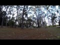 In The Woods
