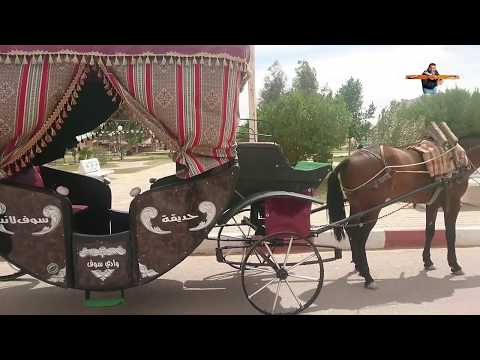 فيديو: كيف تعمل عربة تجرها الخيول