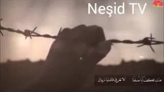 Muhammed Al Muqit Tabsirah تبصرة   محمد المقيط   2018