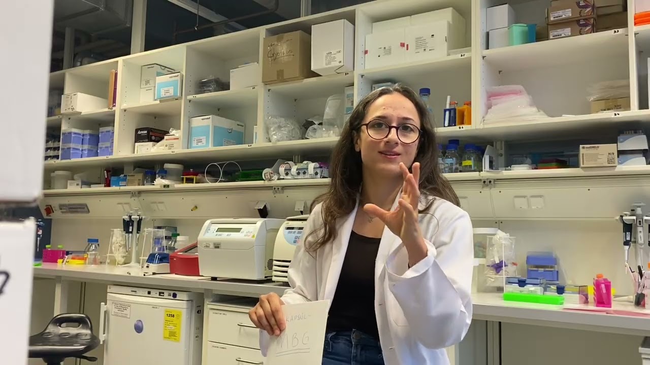 15 Soruda Moleküler Biyoloji ve Genetik