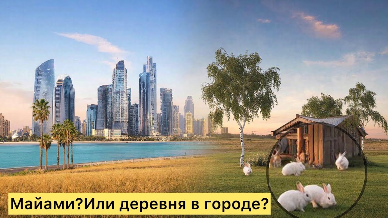 ДЕРЕВНЯ ПОСРЕДИ МАЙАМИ? 🐰 Куры, кролики и пустой город в 1 ночи в субботу!