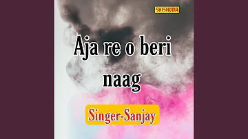 Aja Re O Beri Naag