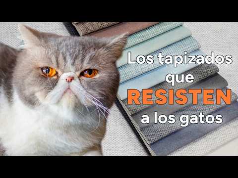 Las mejores TELAS