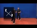 Back to Basics 2   Attacking the Balance / Stance from Five Thunder Dim Mak