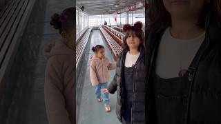 Vapura Bizden Başka Kimse Binmedi Şfetbeniöneçıkar