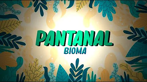 Como é considerado o Pantanal?