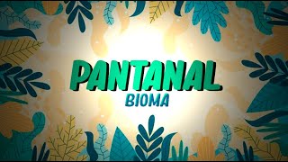 POINT DA CIÊNCIA | Ep.02: Bioma - Pantanal