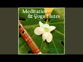 Exploring the soul 11 minutes of zen flute  nature sounds