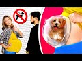 Sneaking pets || 33 Weird hacks and tricks for pet owners