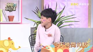 家中大男人與小男孩的祕密！父子狼狽為奸的那些事！【小姐不熙娣】EP232預告｜週一至週五 晚間10點 東森綜合32頻道