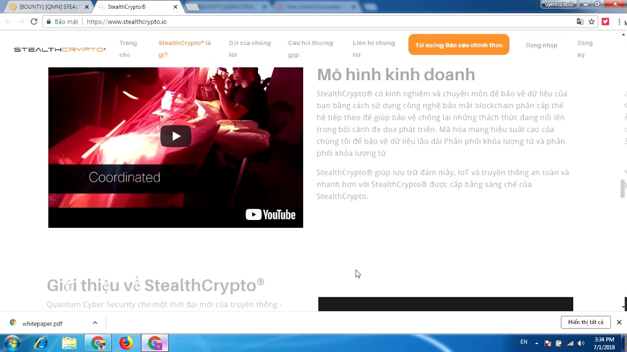 stealth crypto ico