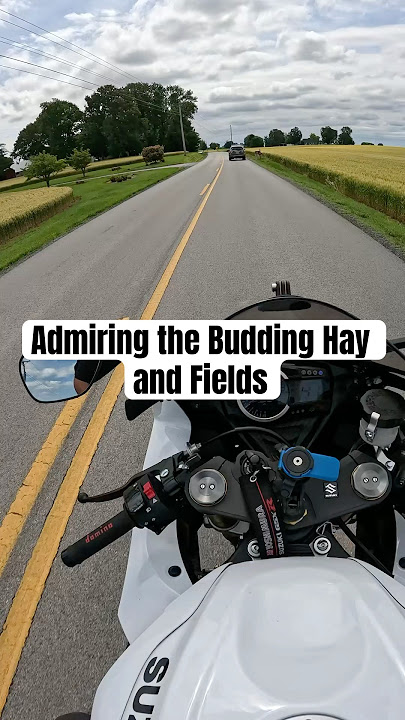 Admiring the Budding Hay and Fields