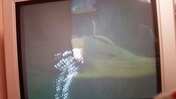 BFBB: Kelp Caves Ledge Grab into the other side