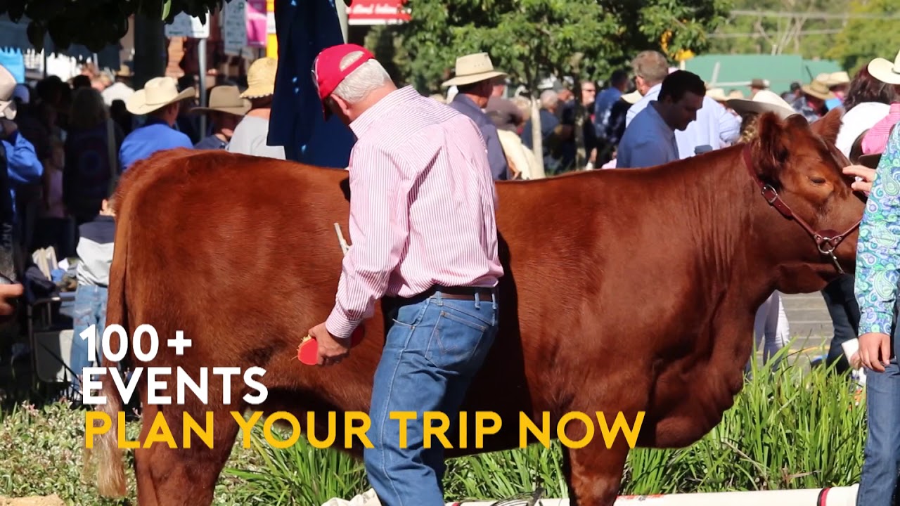 Casino Beef Week - 15 sec TVC