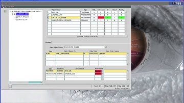 PITSS CON Application ReEngineering