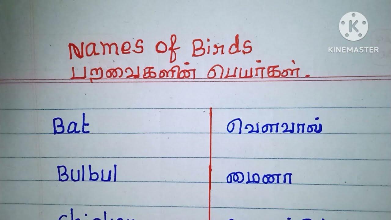List Of Birds In Tamil