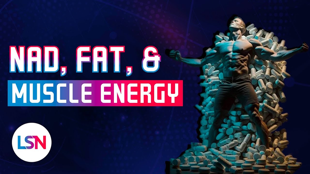 НАД+ увеличивает количество жира? Новое исследование показало странные результаты