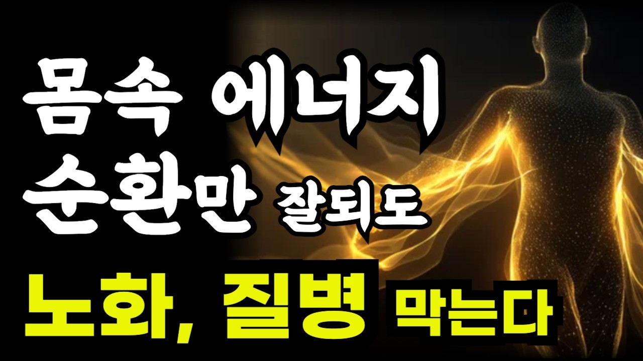 몸속 에너지 순환만 잘되도 노화, 몸의 모든 문제를 막을 수 있다