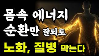 몸속 에너지 순환만 잘되도 노화, 몸의 모든 문제를 막을 수 있다
