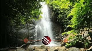 Mawar Bodas lagi sunda nocopyrightsoundsystem