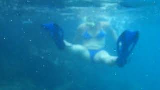Woman Snorkeling With Sea Lions