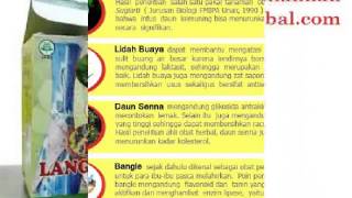Ratu langsing - Obat herbal Langsing alami dan cepat
