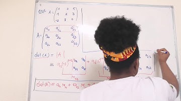 MATRICES : Derterminant d