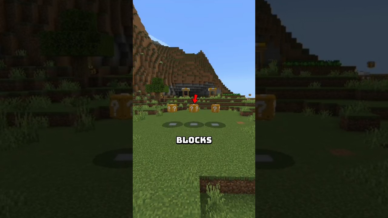 Minecraft Hidden Blocks You Never Get!