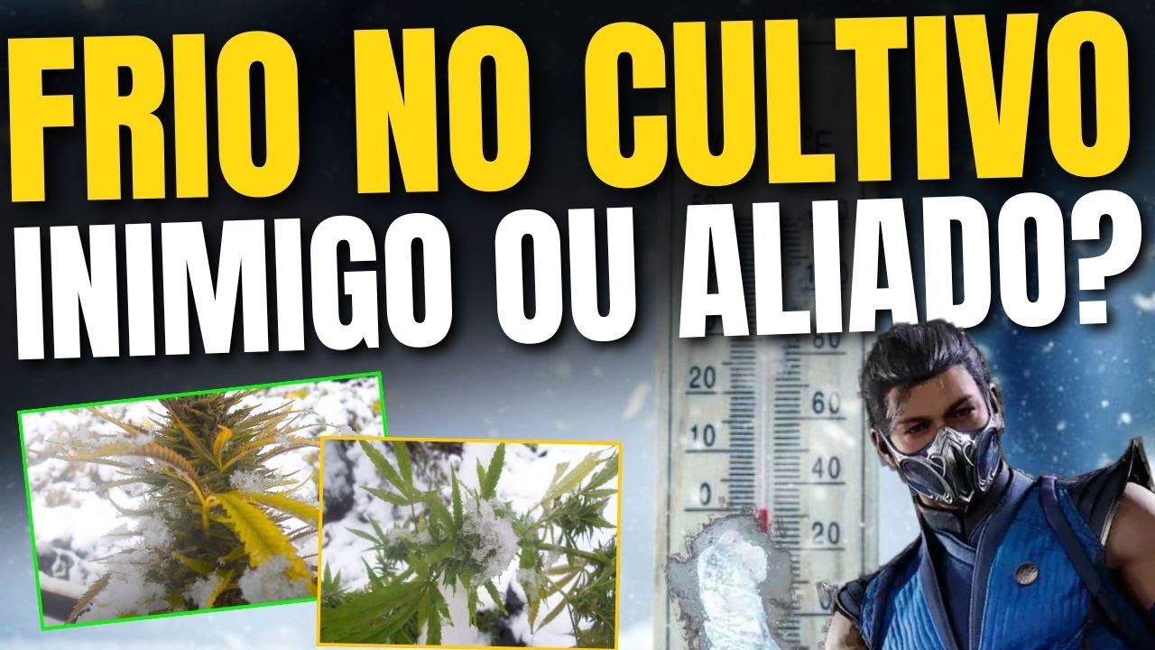 Como Cultivar Suas Plantas no FRIO? Quais Cuidados Tomar no Cultivo de Inverno