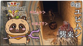 【ELDEN RING】ほぼ初見！騎士道縛りで正々堂々戦うつもりのエルデンリング #43『 恐怖を呼ぶ地下 タヌキ 指との再会』