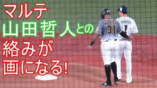 マルテ 山田哲人との絡みが画になる かっこいい Youtube マルテ 山田哲人との絡みが画になる かっこいい Youtube